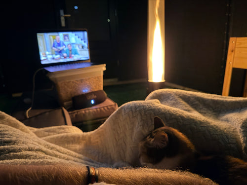 Kat onder een deken op een loungebank bij een brandende pelletterrasverwarmer en een film op de laptop