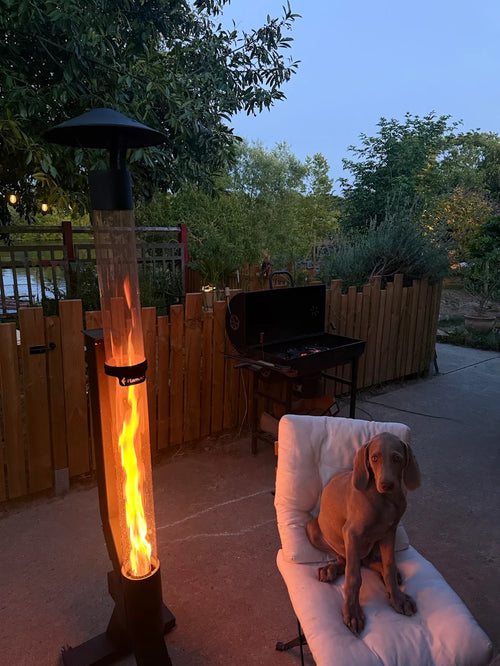 Hond op een kussen naast een brandende vuurzuil op pellets op een terras met barbecue